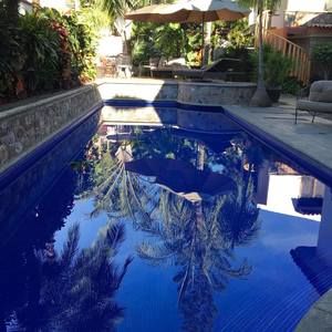 Meet your Posher, Shelley